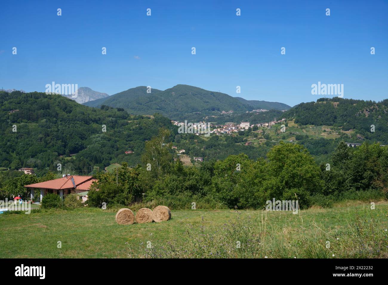 Paysage d'été le long de la route de Castelnuovo Garfagnana à San Romano, province de Lucques, Toscane, Italie Banque D'Images