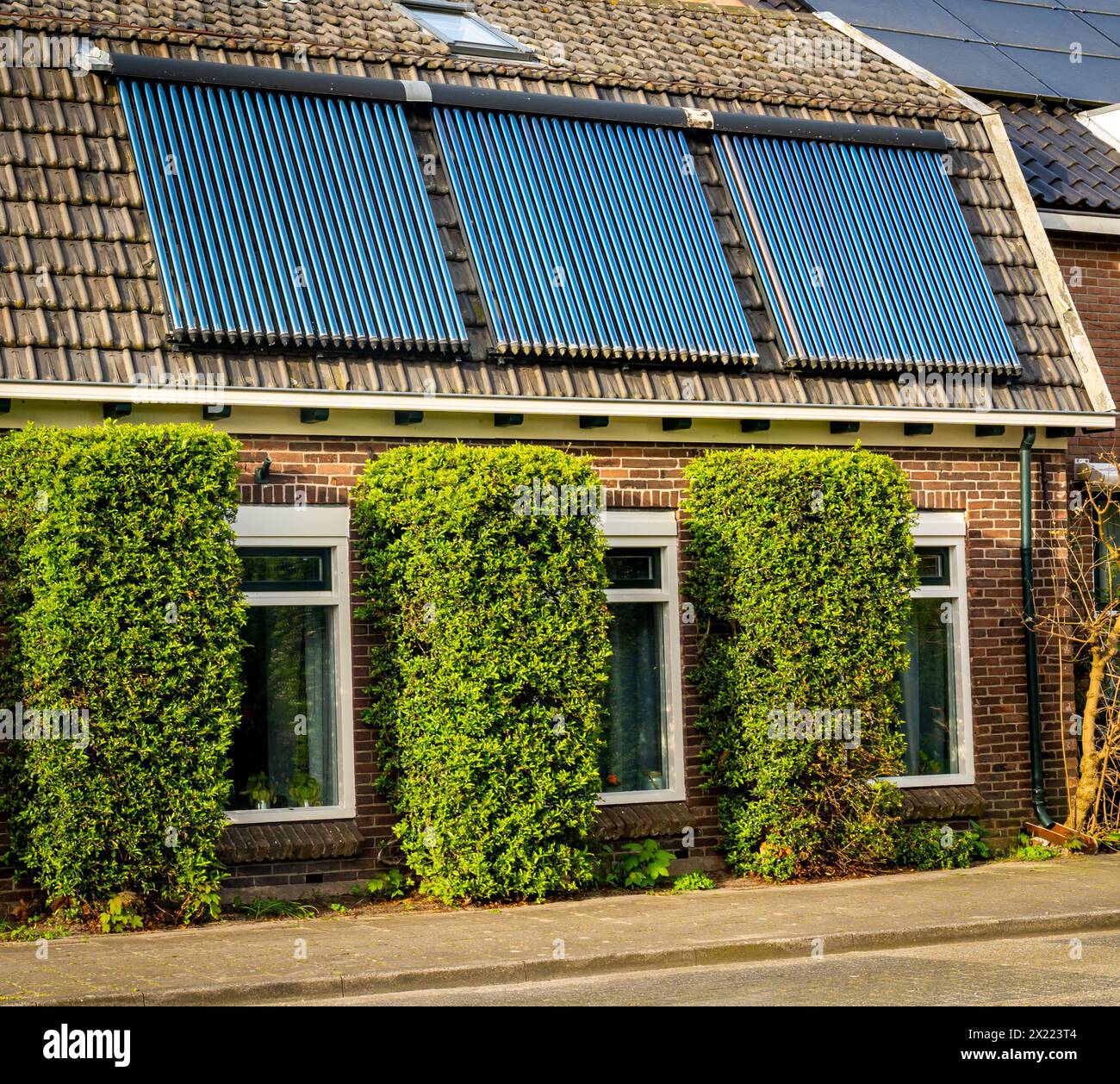 Collecteurs de vide sur le toit, système solaire de chauffage de l'eau Banque D'Images
