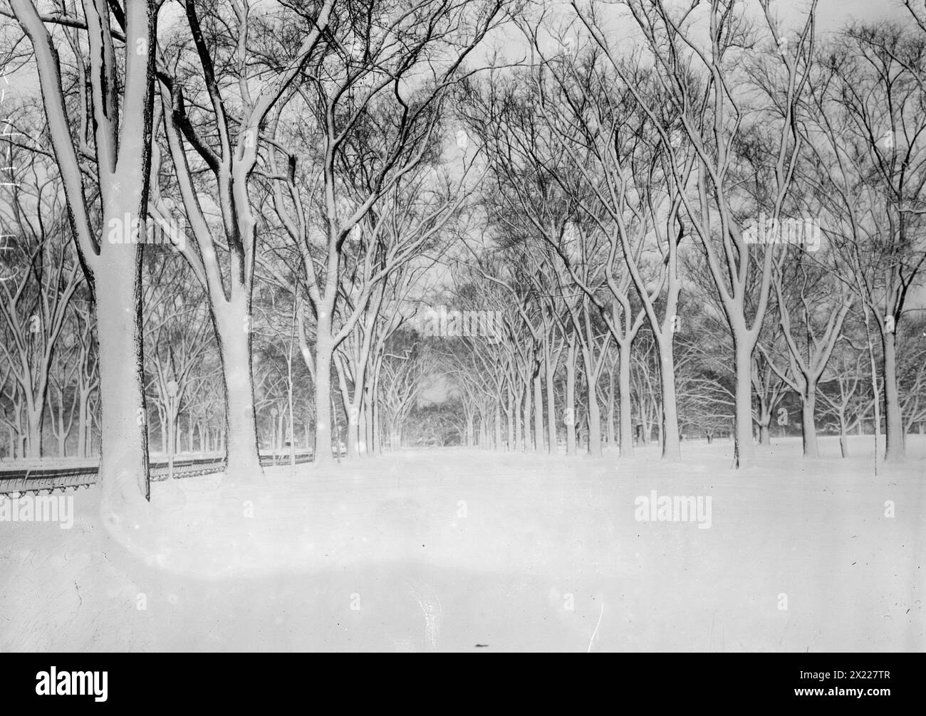 The Mall, Central Park, entre c1910 et c1915. Banque D'Images