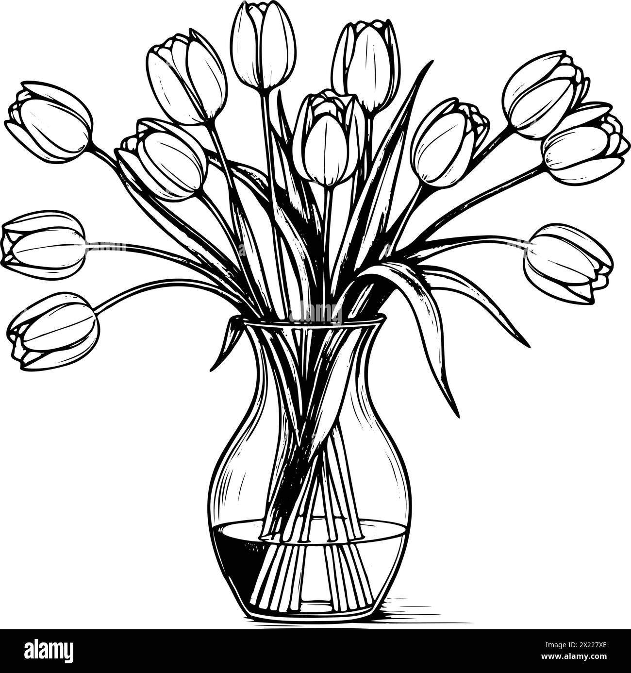 Un vase de tulipes est représenté dans un dessin en noir et blanc. Le vase est rempli d'eau et les tulipes sont disposées de manière à ce qu'elles soient toutes en face Illustration de Vecteur