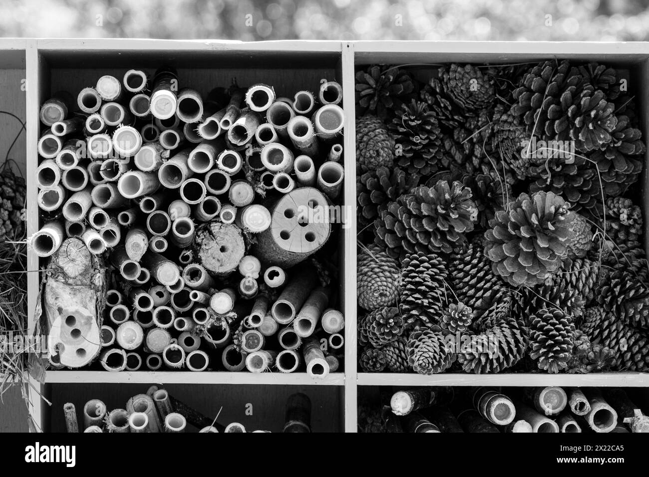 Eléments empilés formant un hôtel d'insectes pour l'habitat d'espèces Banque D'Images