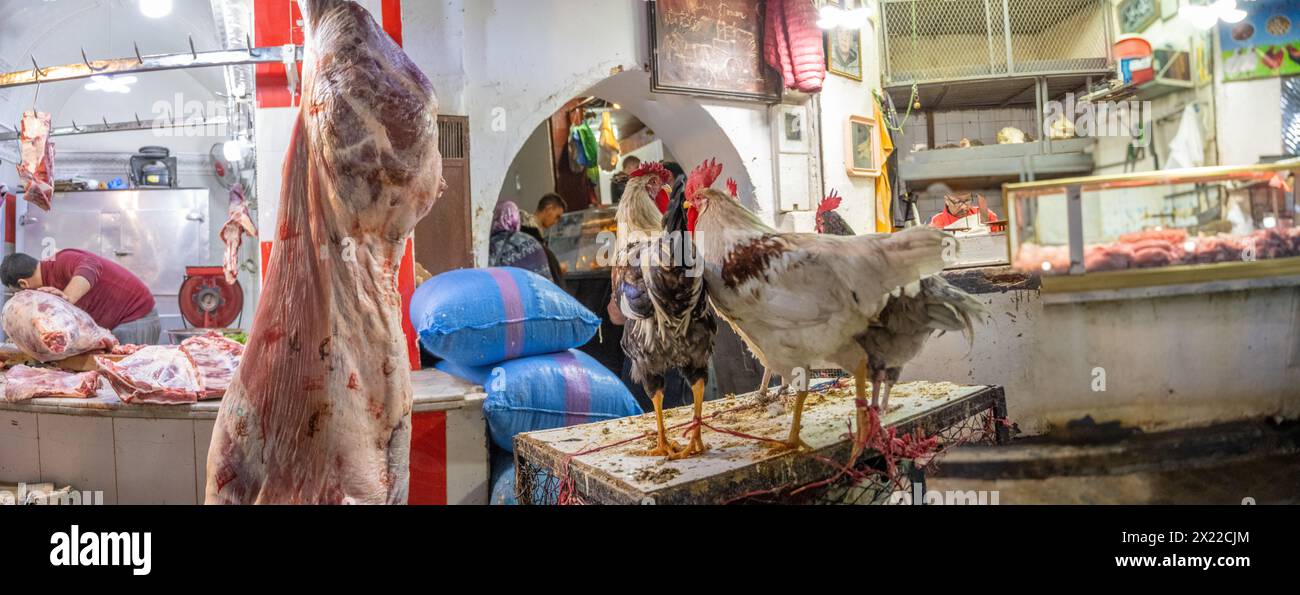 Coqs perchés à côté de viandes fraîches sur un marché marocain traditionnel. Banque D'Images