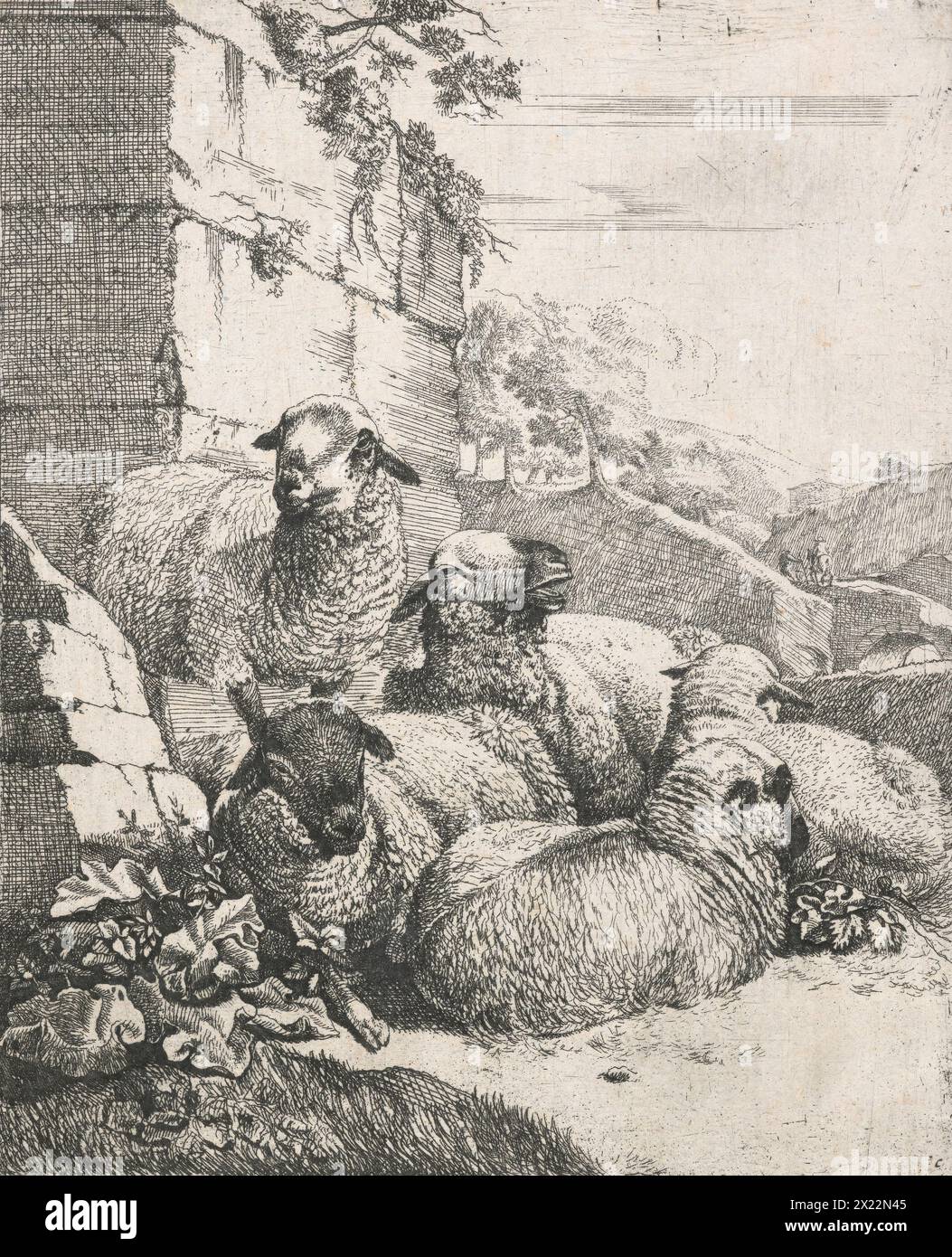 Série moutons, chèvres et vaches : quatre moutons au repos et un mouton debout, 1668-1670. Banque D'Images Série moutons, chèvres et vaches : quatre moutons au repos et un mouton debout, 1668-1670. Banque D'Images