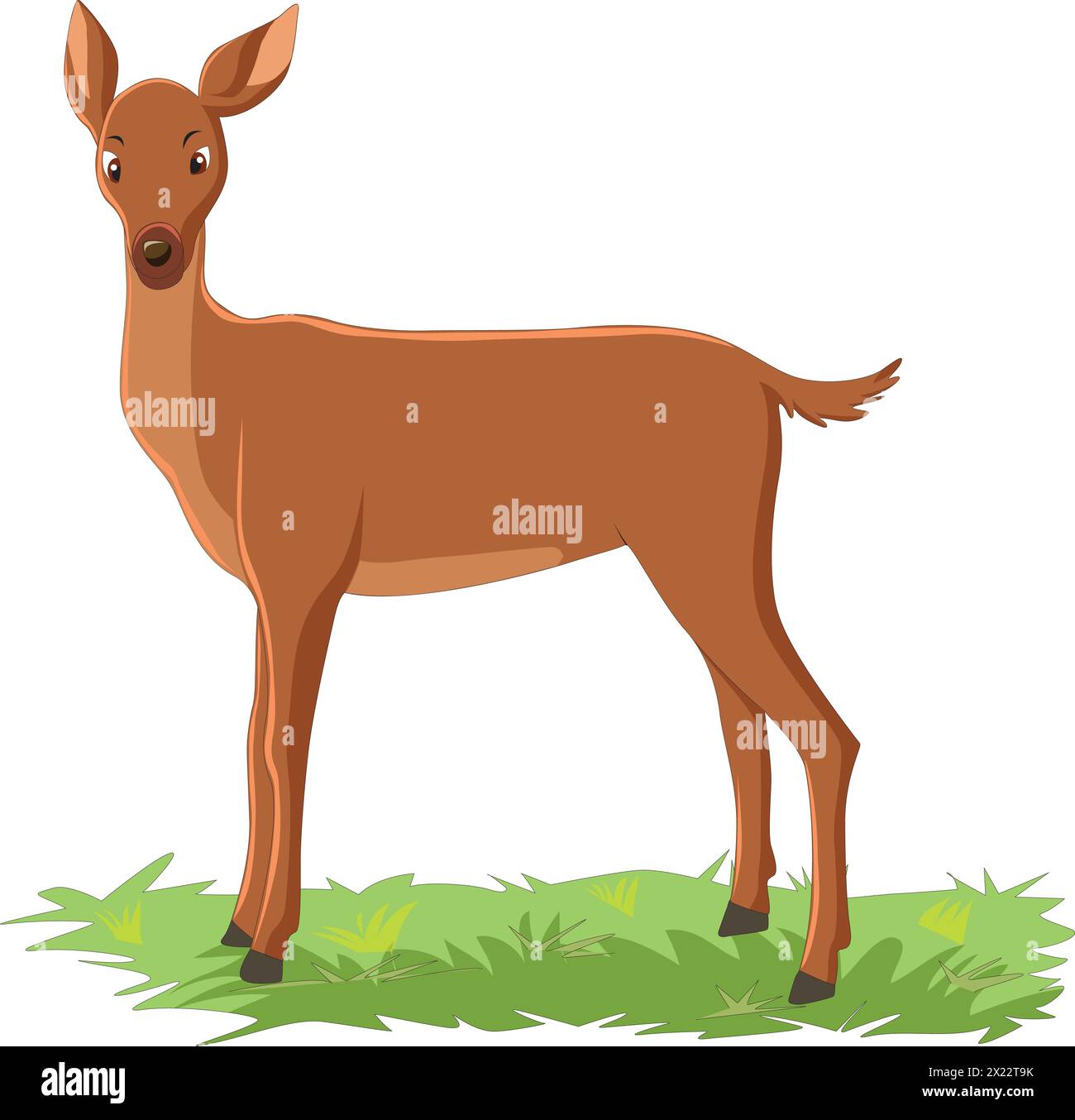 Mignon veau debout sur l'illustration vectorielle d'herbe Illustration de Vecteur