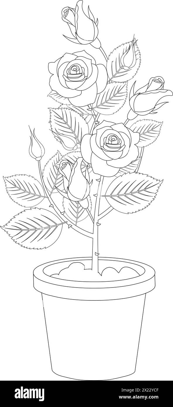 Contour vectoriel de la plante rose dans un pot Illustration de Vecteur