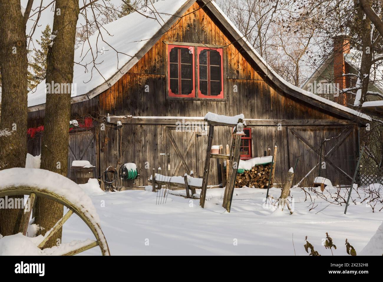 Ancienne grange rustique en bois avec fenêtres rouges encadrées par des arbres dans le jardin de la cour arrière en hiver, Québec, Canada. Cette image est autorisée par le propriétaire. PR0190 Banque D'Images