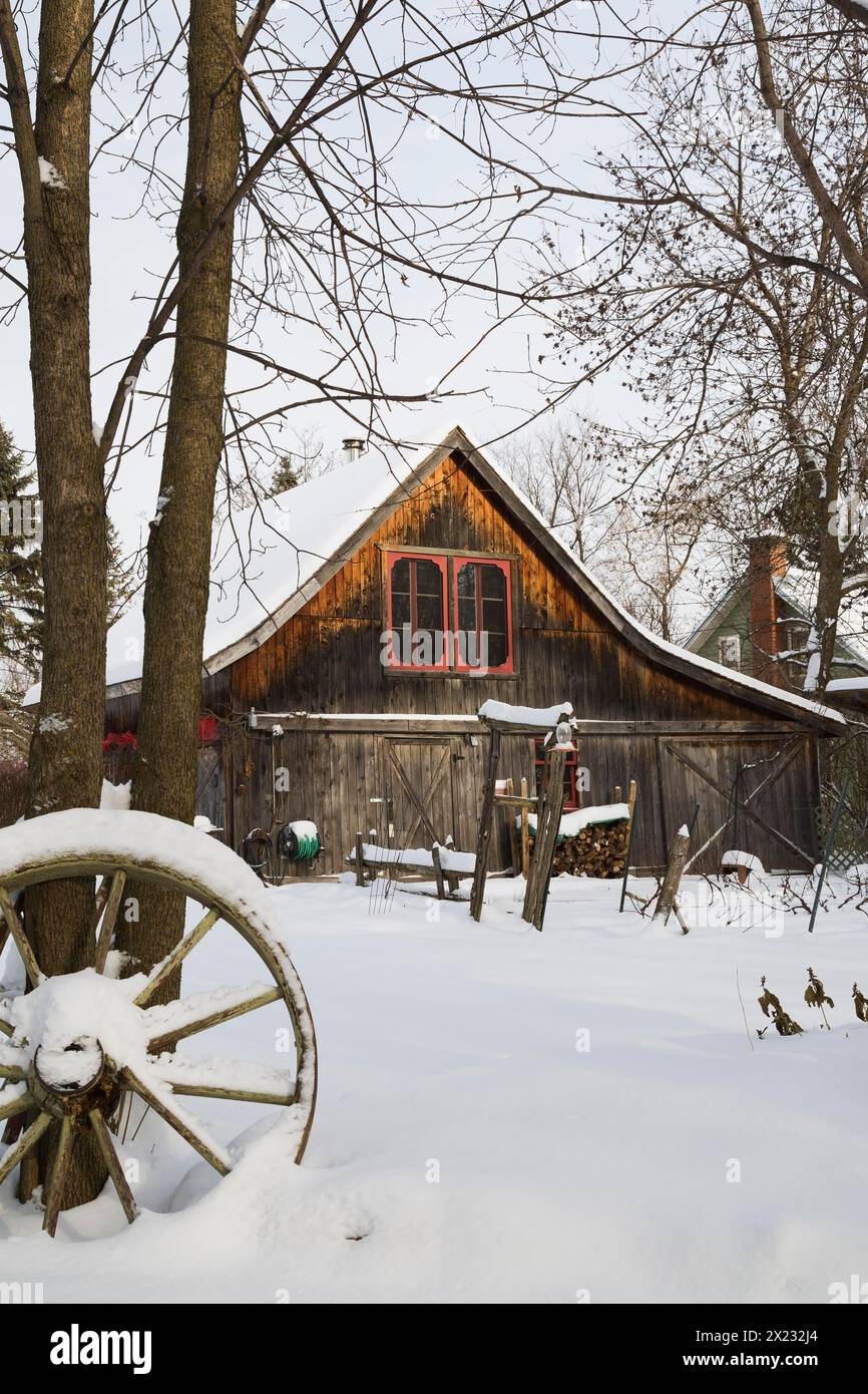 Ancienne grange rustique en bois avec fenêtres rouges encadrées par des arbres dans le jardin de la cour arrière en hiver, Québec, Canada Banque D'Images