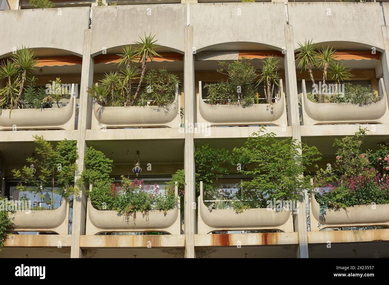 Façade de maison avec balcons verdoyants, Avignon, Vaucluse, Provence-Alpes-Côte d'Azur, Sud de la France, France Banque D'Images