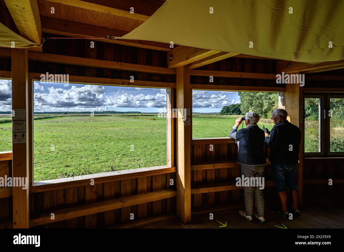 CRANORAMA sur le lac Günzer, une station d'observation moderne et sans obstacle pour grues, a ouvert ses portes en 2015. Groß Mohrdorf, côte de la mer Baltique, Mecklembourg Weste Banque D'Images