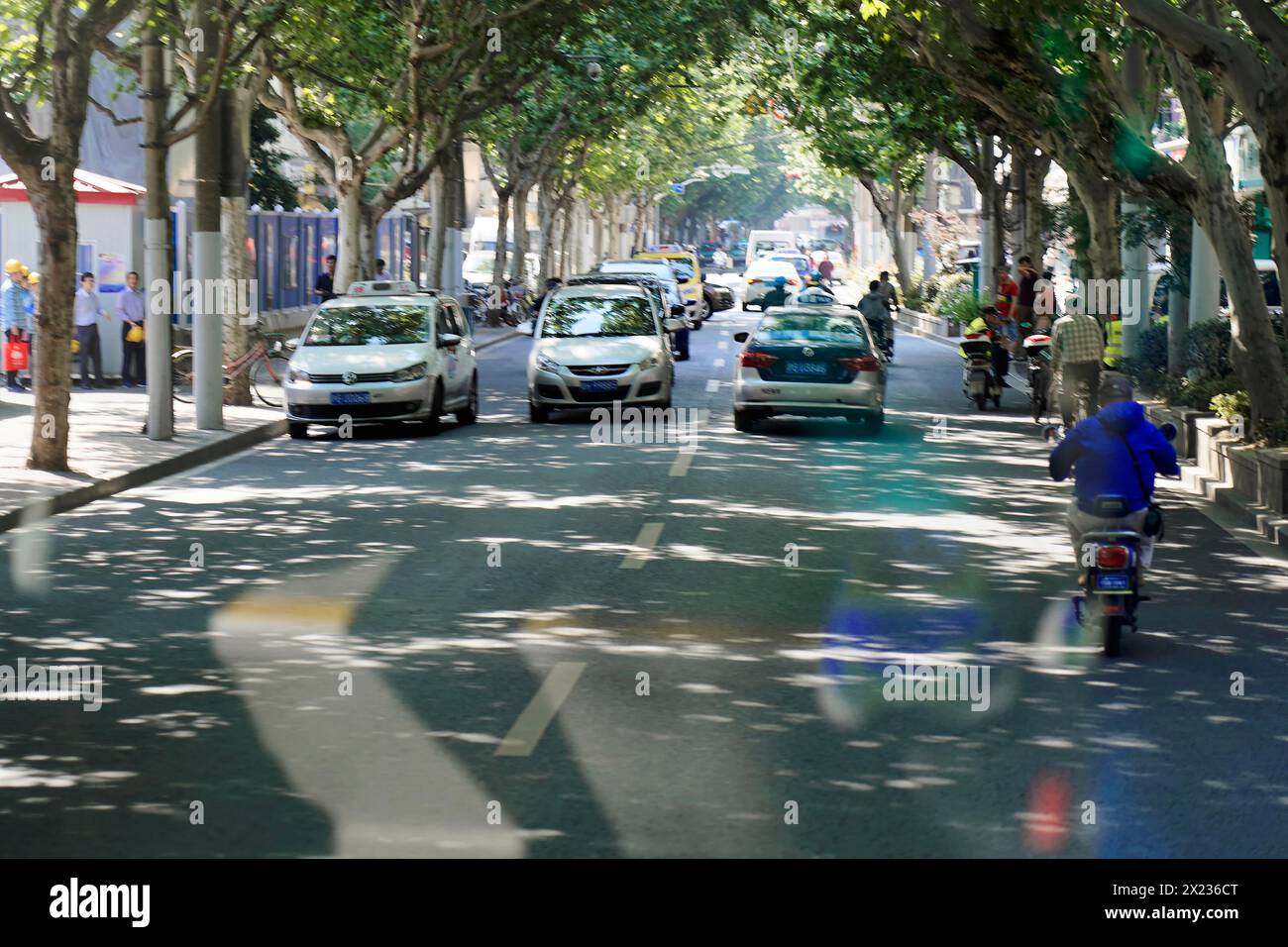 Trafic à Shanghai, Shanghai Shi, Un groupe de véhicules, y compris des voitures et des motos, dans une rue bordée d'arbres, Shanghai, République populaire de Chine Banque D'Images