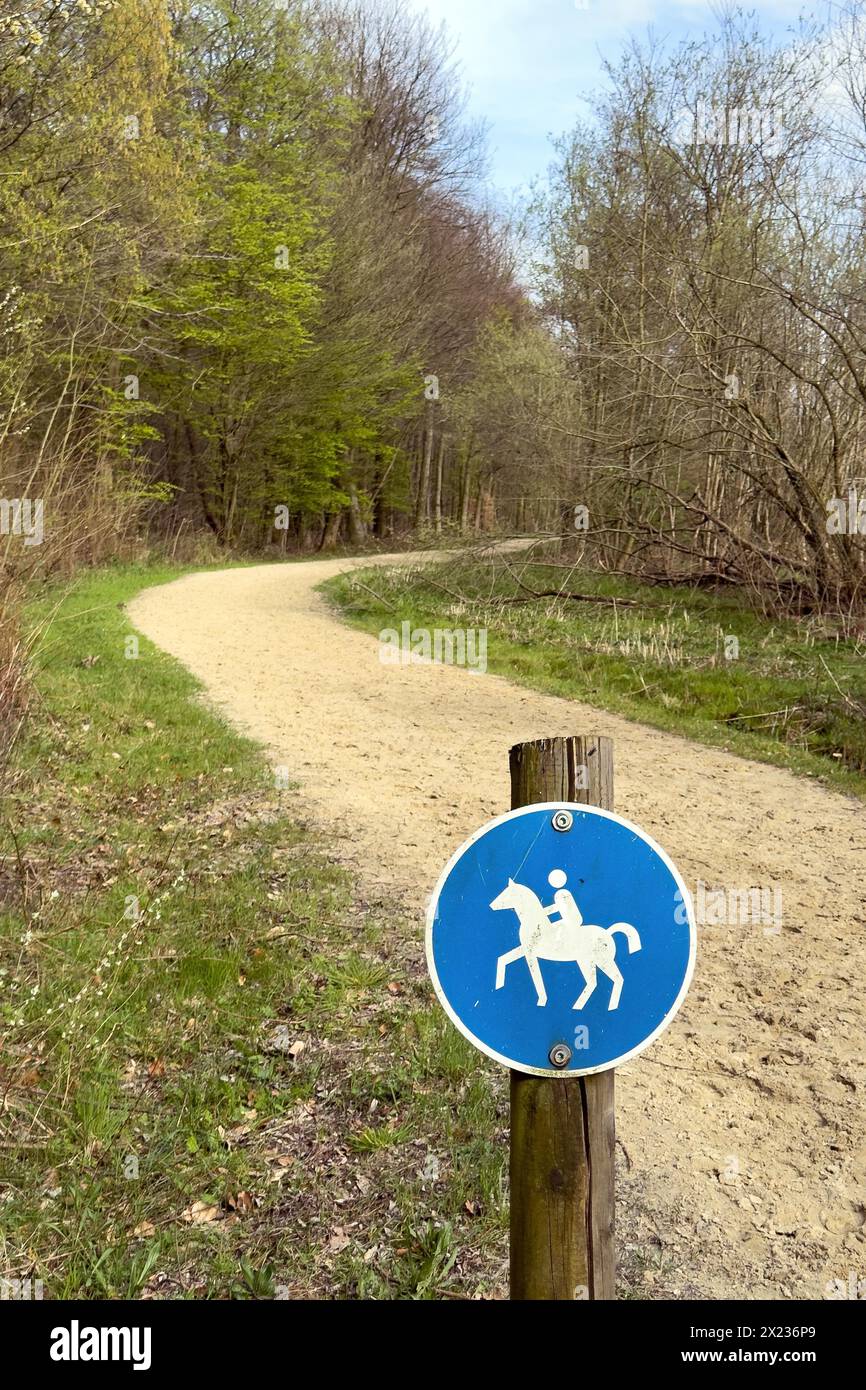 Panneau pour les cavaliers devant le chemin de brides balisé désigné avec un sol de sable mou menant à travers la forêt mixte au printemps, en Allemagne Banque D'Images