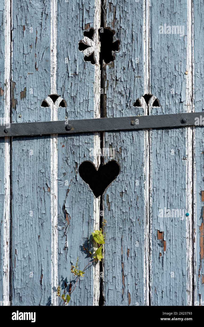 Porte en bois avec coeur, porte stable, vernis clair, altéré, feuilles de nouweed (Fallopia baldschuanica), ancienne ferme, idylle, romantique Banque D'Images