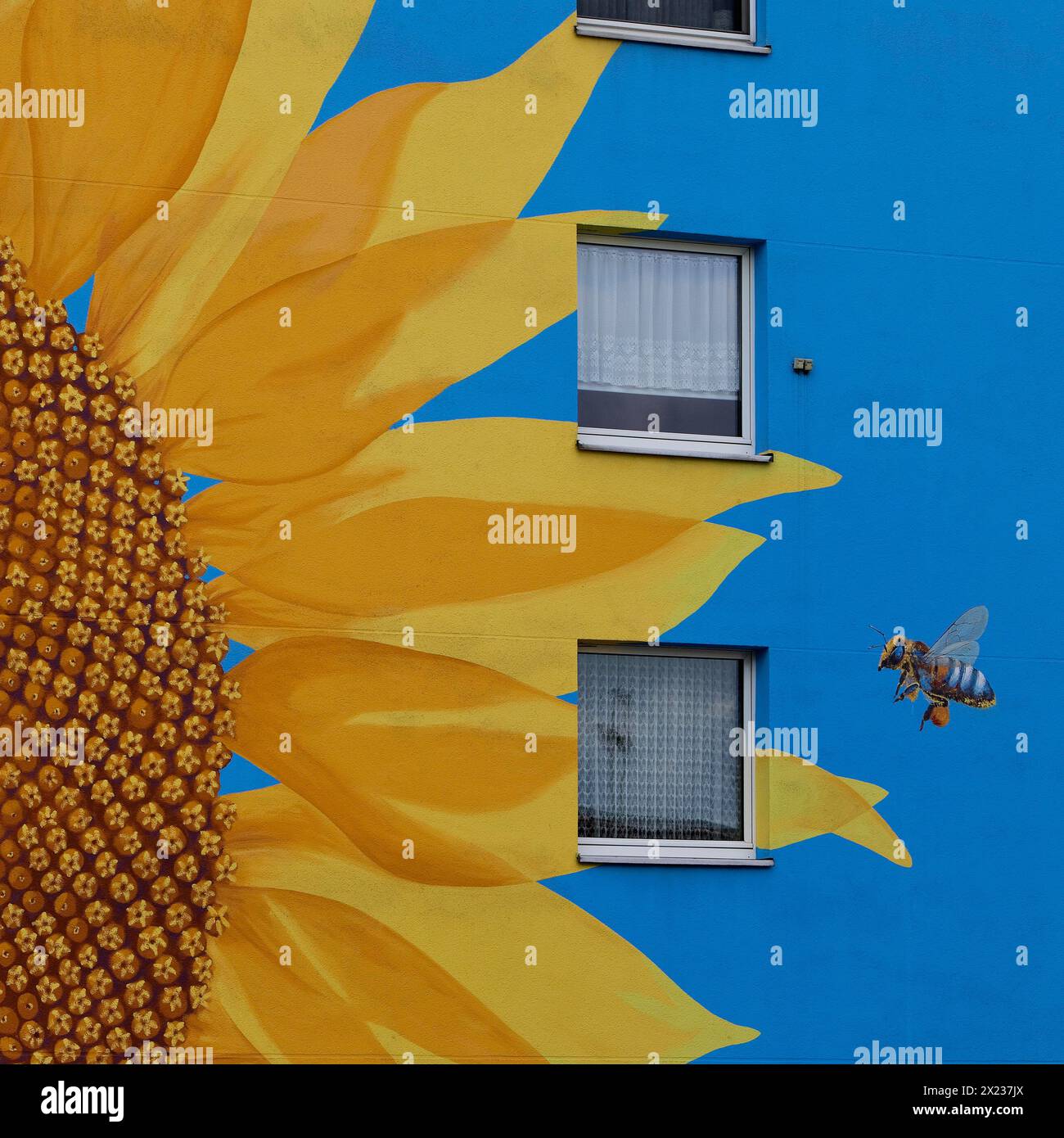 Maison de tournesol, tournesol peint et abeille sur un bloc de tour, artiste Ulrich Allgaier, Wuppertal, Rhénanie du Nord-Westphalie, Allemagne Banque D'Images