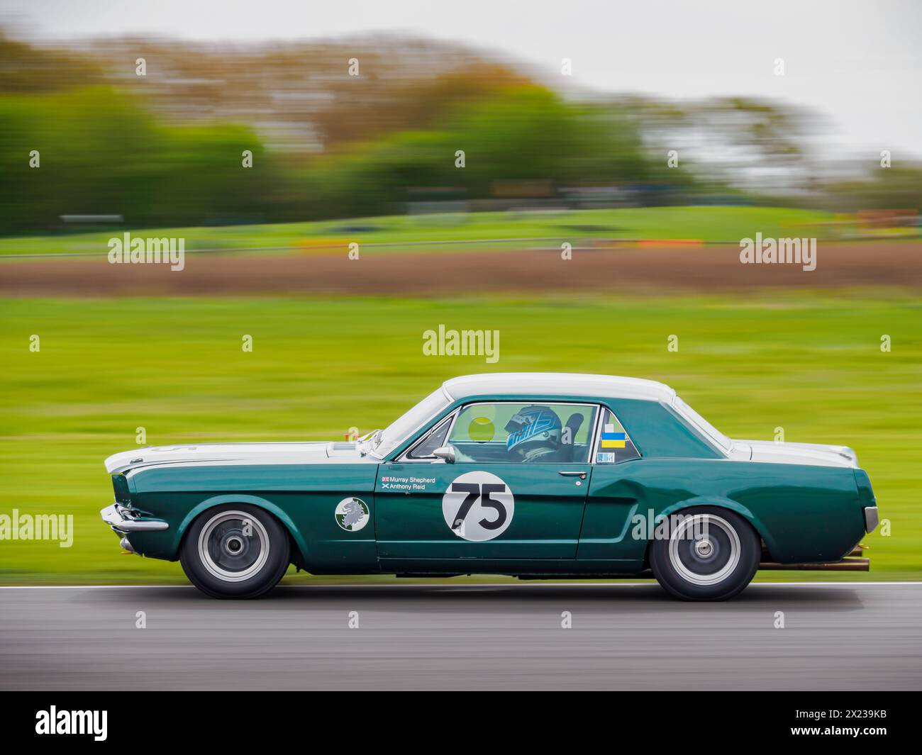 Une Ford Mustang verte de 1965 dans la Coupe Ken Miles, réunion des membres de Goodwood 81MM Banque D'Images