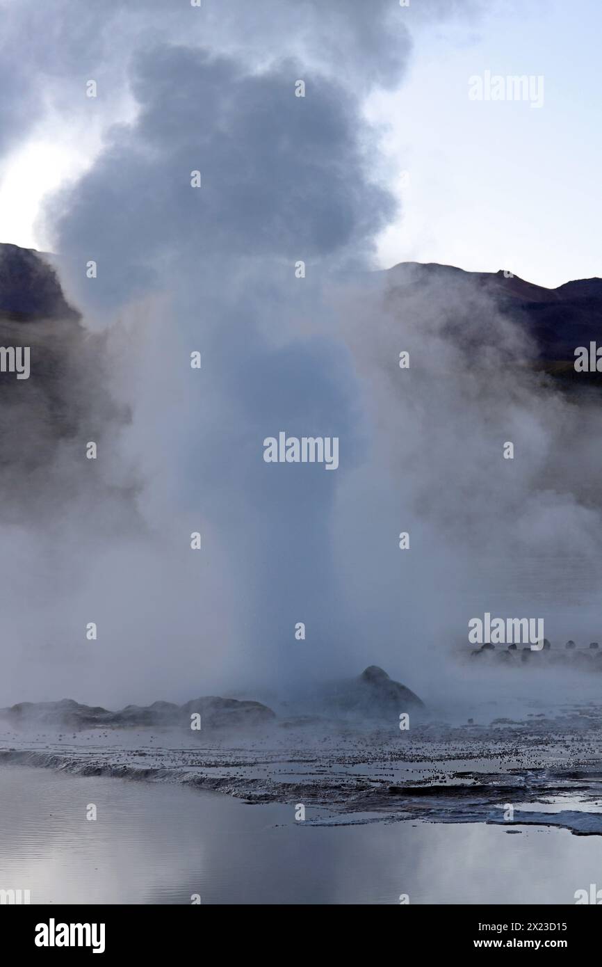 Chili ; Nord du Chili ; région d'Antofagasta ; désert d'Atacama ; Geysers El Tatio; plus grand champ de geyser de l'hémisphère sud Banque D'Images
