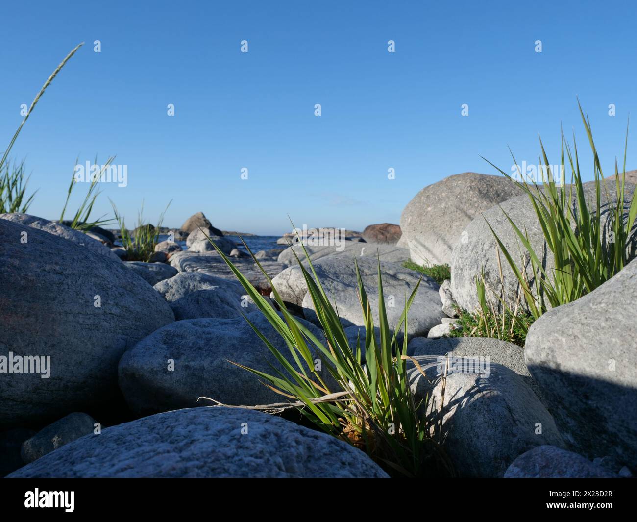 Loin du continent, l'île sauvage et magnifique de Utö, en Finlande Banque D'Images