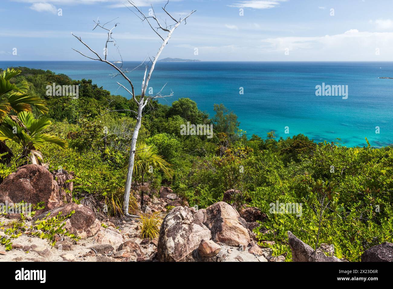 Paysage de la plage d'Anse Lazio par une journée ensoleillée. Île de Praslin, Seychelles Banque D'Images