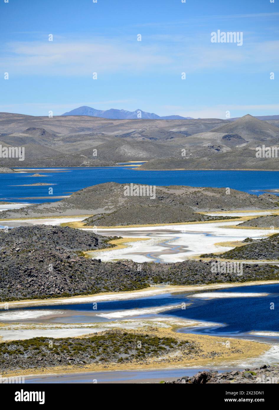 Chili ; nord du Chili ; région d'Arica y Parinacota ; Parc national de Lauca ; Laguna Cotacotani Banque D'Images