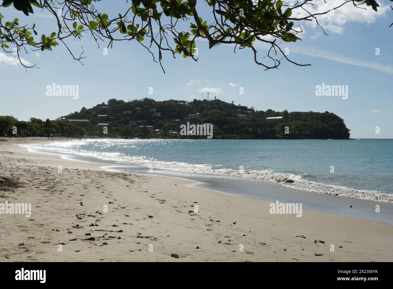 Une image romantique de la mer bleu pâle et de la plage de sable visible sous une branche d'arbre feuillu sur la côte de l'île caribéenne de Sainte-Lucie. Banque D'Images
