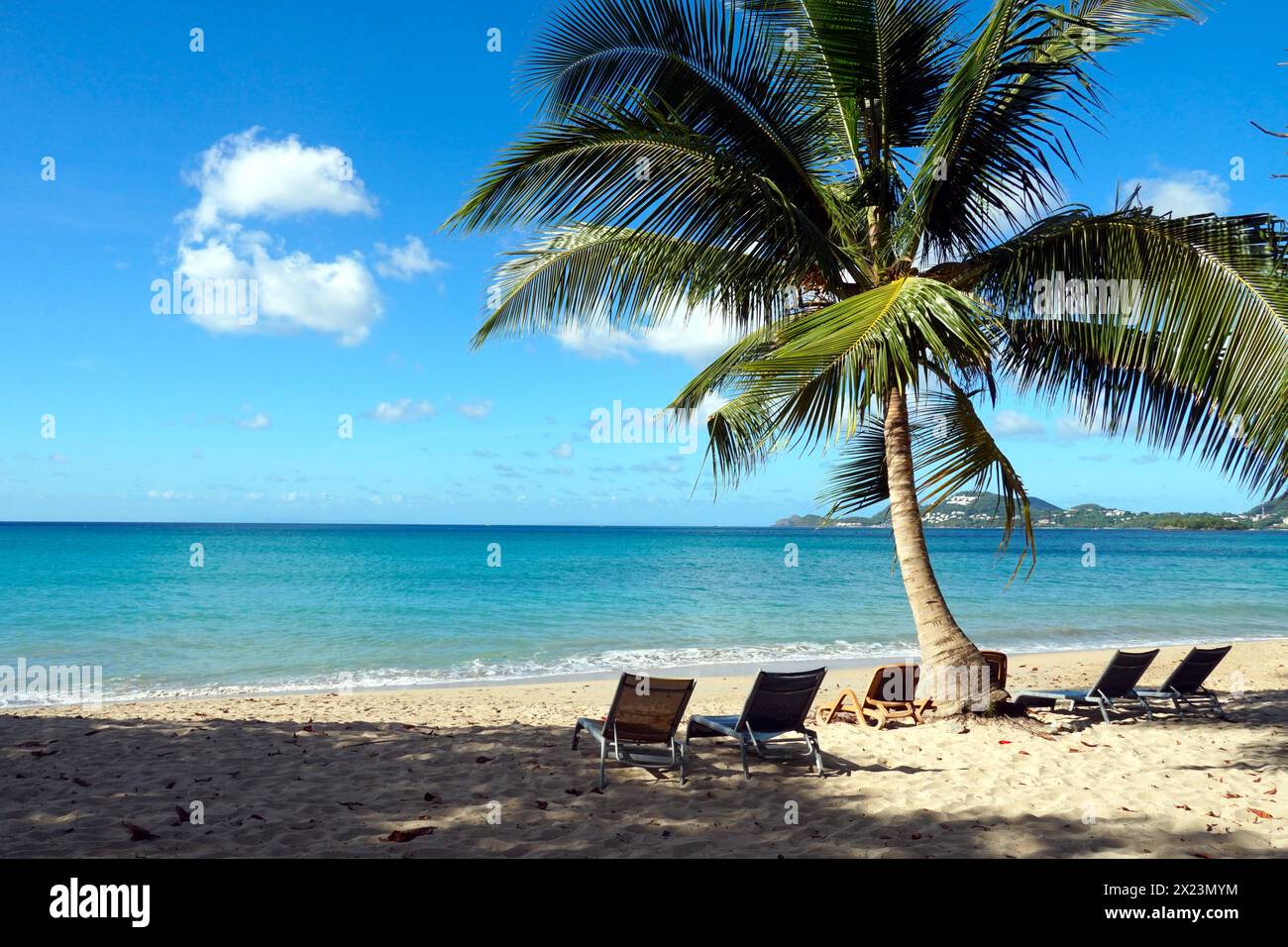 Vue sur la mer bleu pâle et plage de sable avec chaises longues sous palmier sur la côte de l'île caribéenne de Sainte-Lucie- Banque D'Images