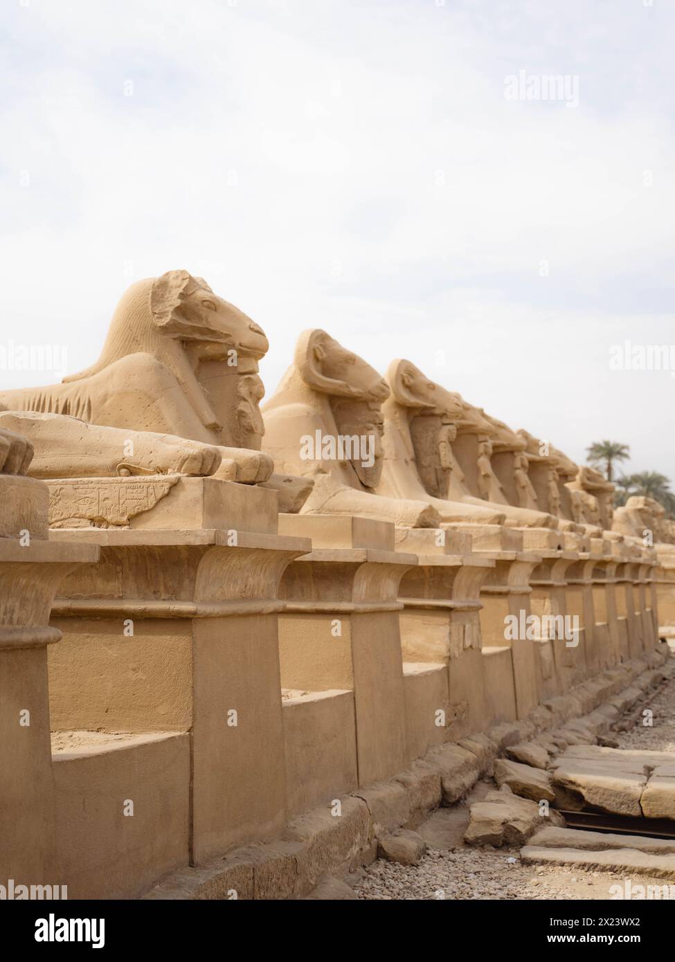 Egypte - temple de Louxor Banque D'Images