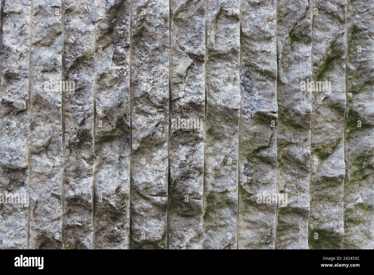 Fond abstrait d'un vieux mur de béton abandonné recouvert de moisissure verte. Banque D'Images