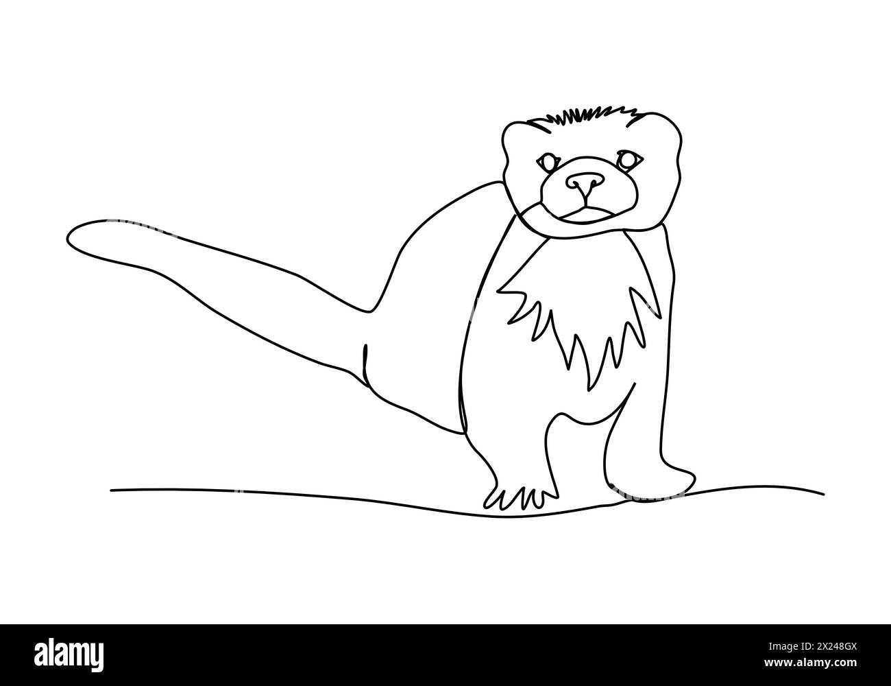 Furet, illustration vectorielle de dessin d'une ligne. Illustration de Vecteur