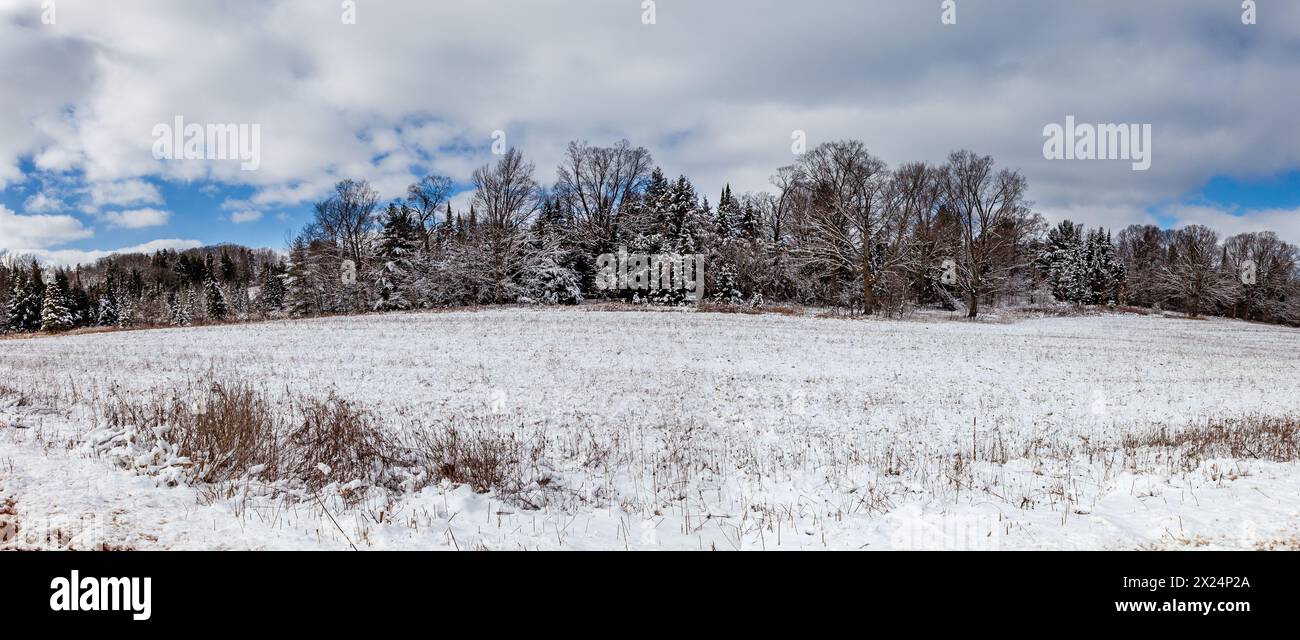Wisconsin terres agricoles et forêt couverte de neige, panorama Banque D'Images