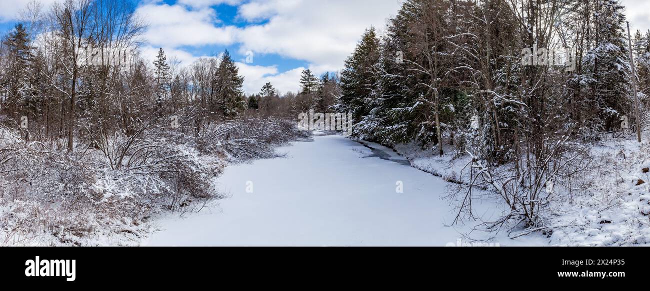 Ruisseau Wisconsin et forêt couverte de neige, panorama Banque D'Images