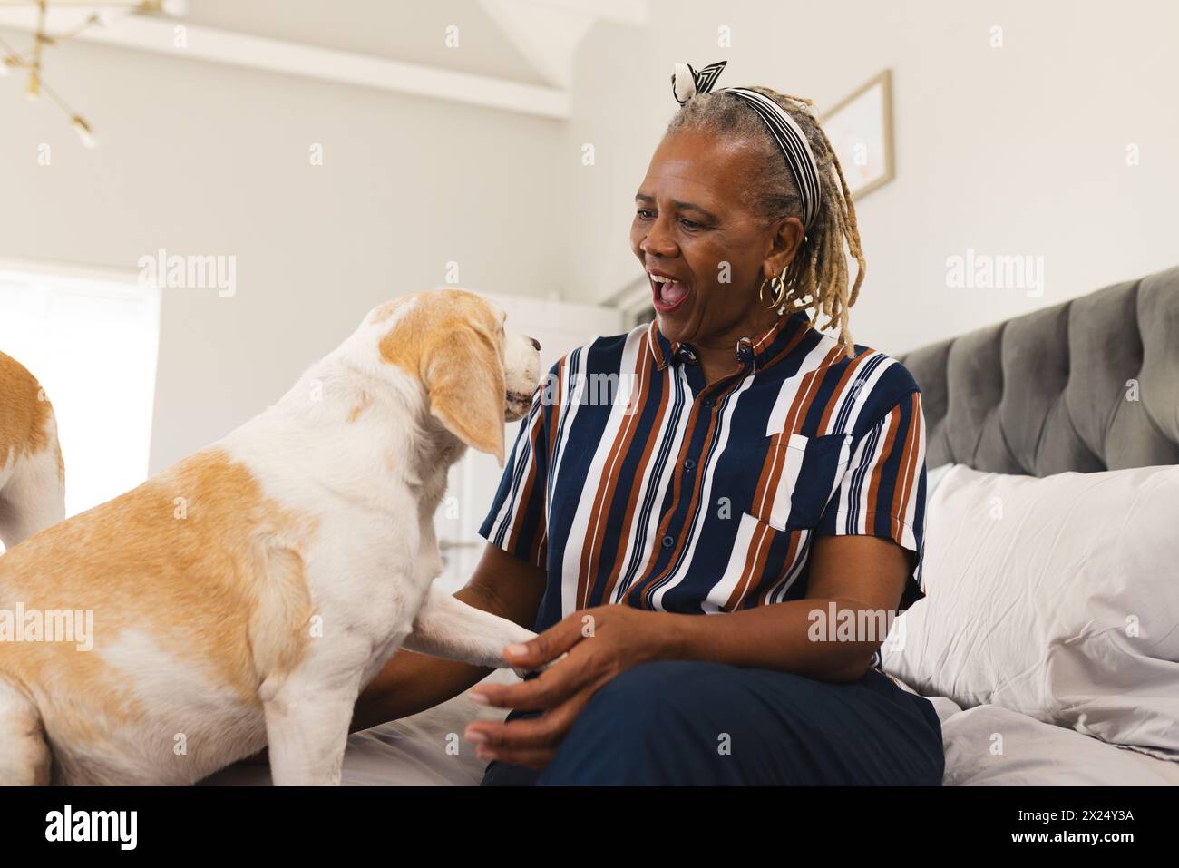 Femme aînée afro-américaine assise sur le lit à la maison, jouant avec le chien Banque D'Images
