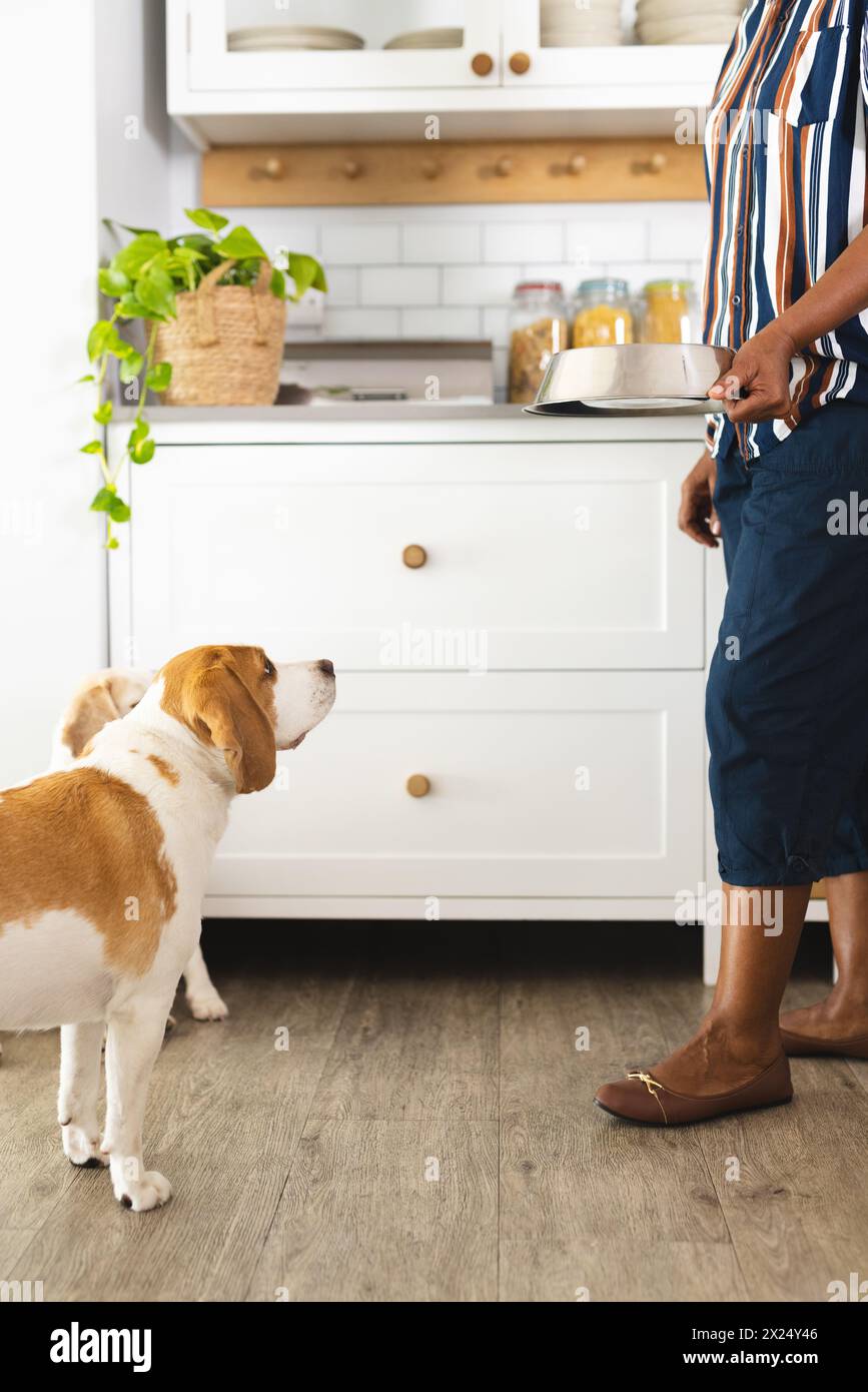 Une femme afro-américaine âgée se tient debout dans sa cuisine à la maison avec son chien Banque D'Images