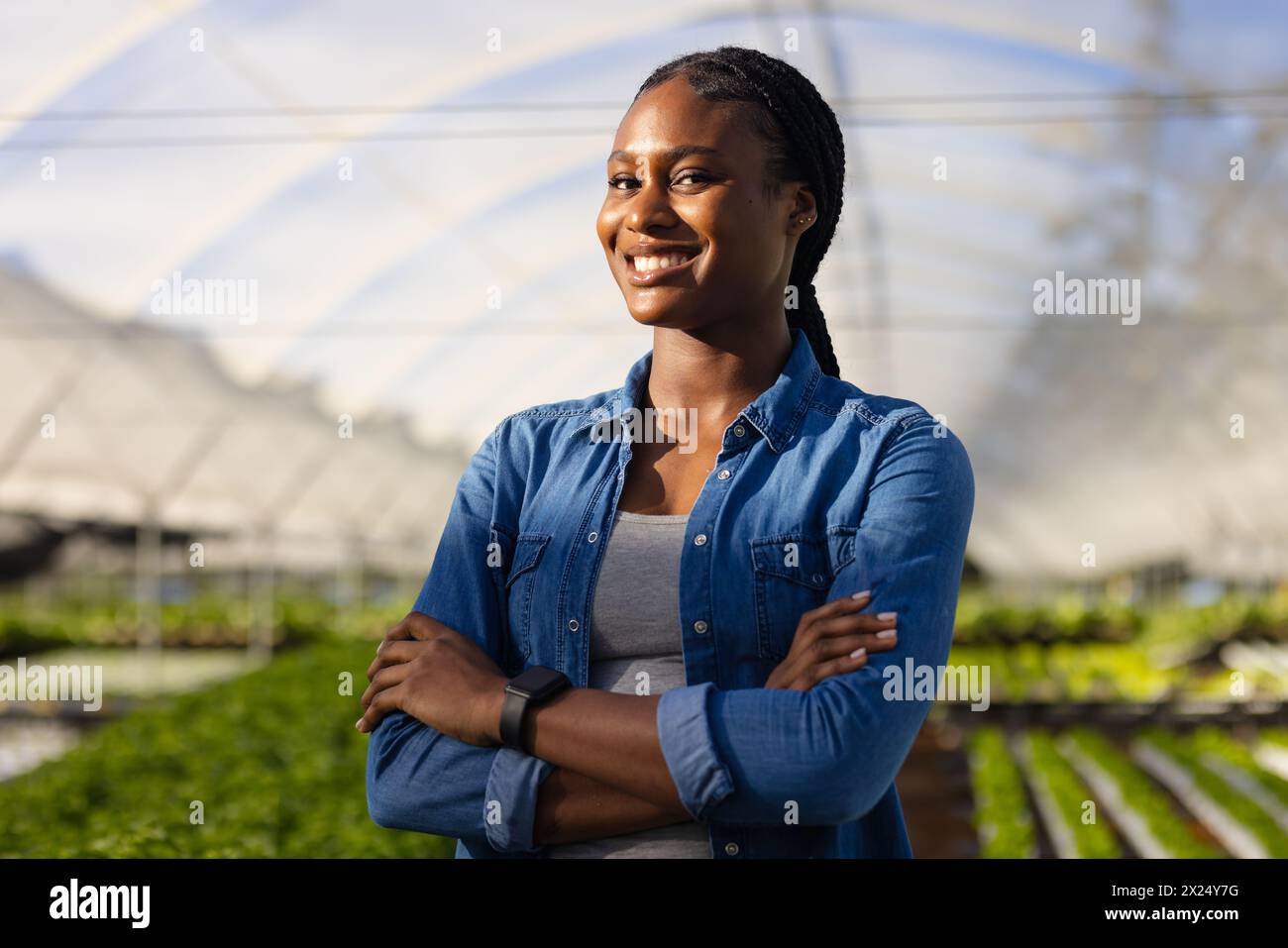 Jeune agricultrice afro-américaine debout, les bras croisés, souriante, dans une serre hydroponique. Elle a les cheveux tressés foncés, portant une chemise bleue, Banque D'Images