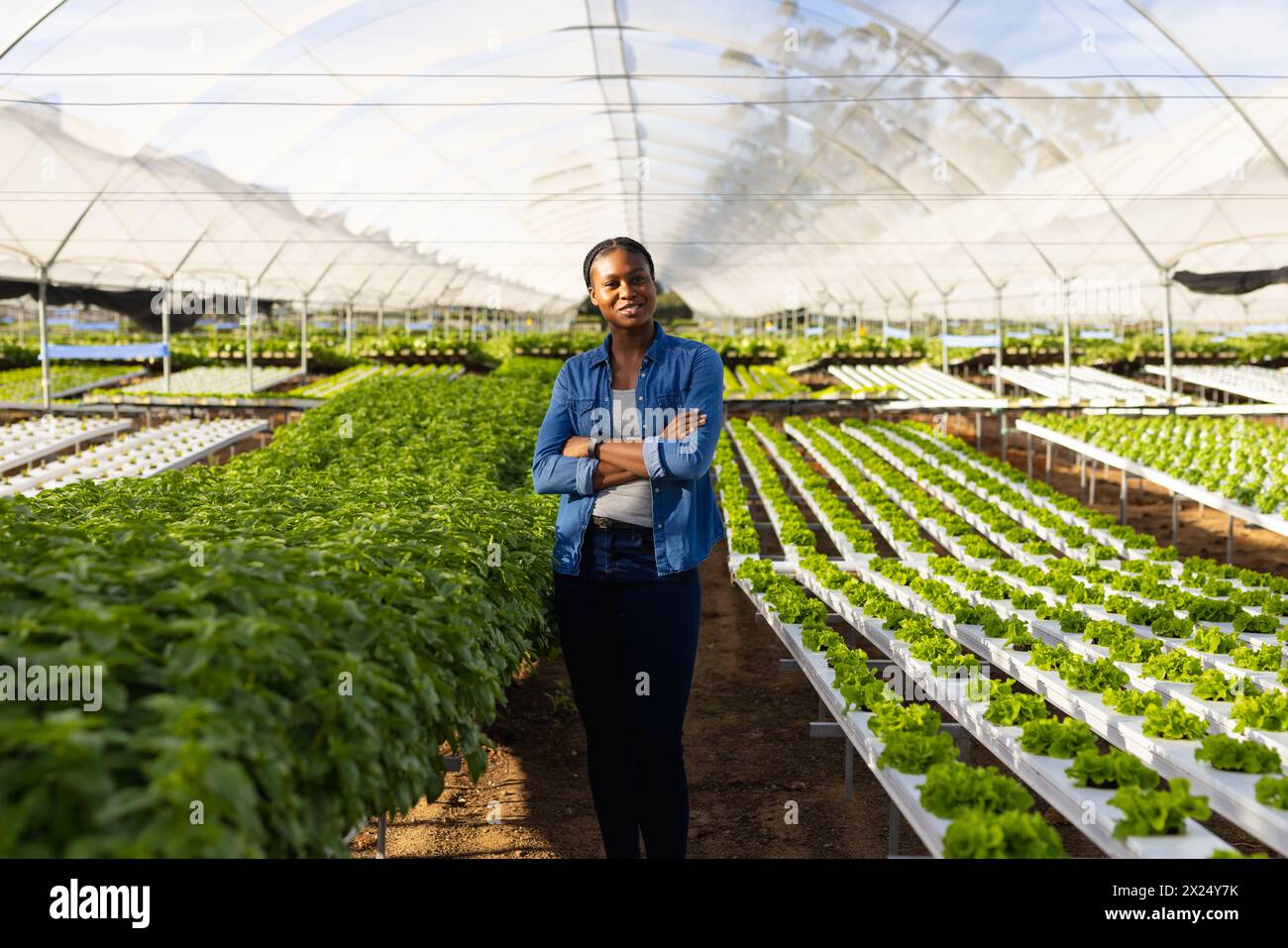 Jeune agricultrice afro-américaine debout dans une serre hydroponique parmi des rangées de verts feuillus Banque D'Images
