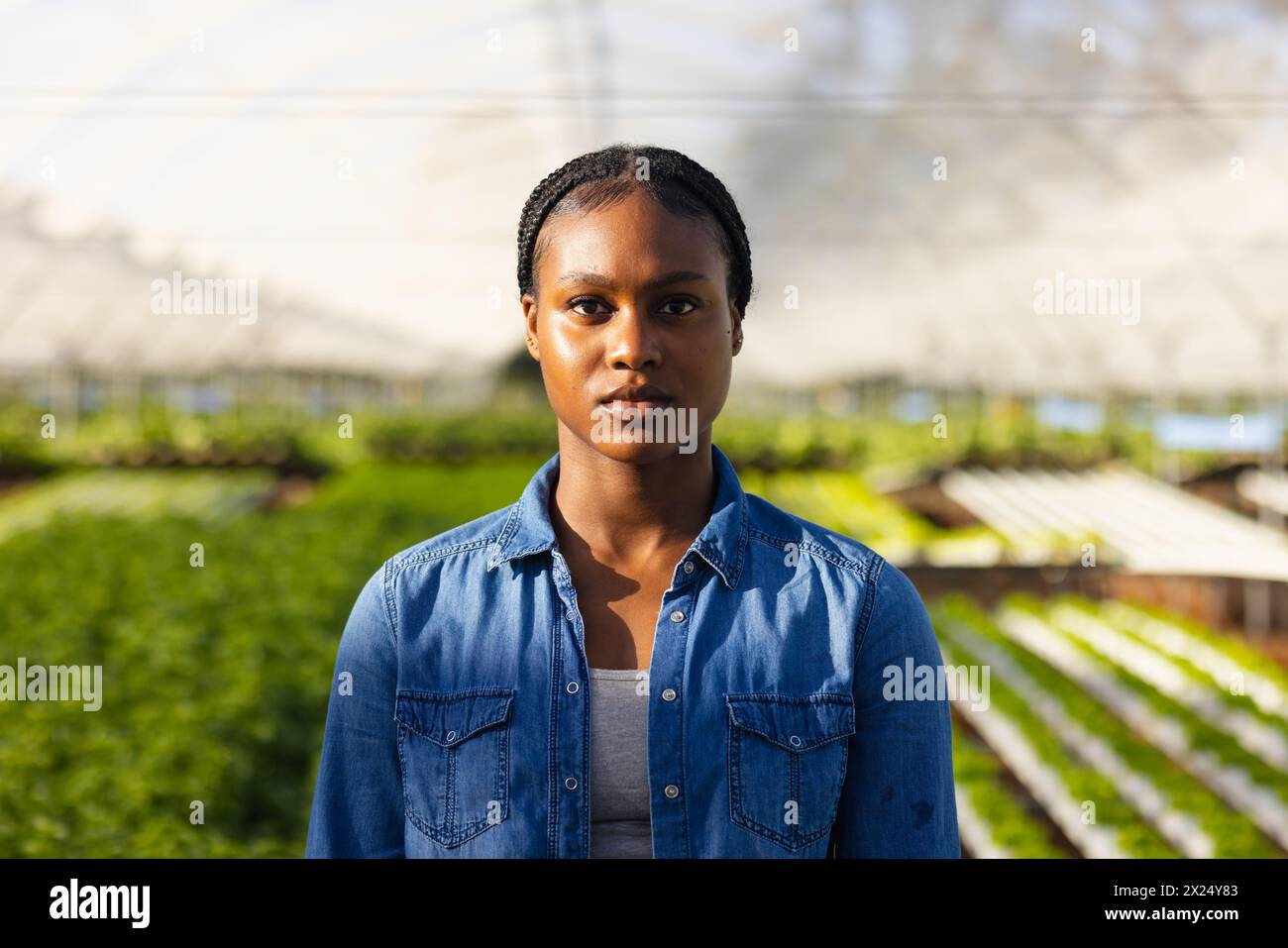 Une jeune femme afro-américaine surveillante de ferme debout dans une serre hydroponique, espace copie. Elle a les cheveux foncés, les yeux bruns, et porte un deni Banque D'Images