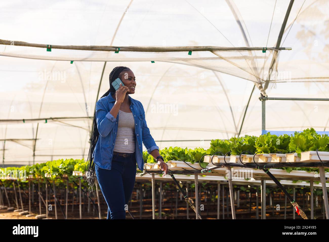 Jeune agricultrice afro-américaine parlant au téléphone, vérifiant les plantes dans la serre hydroponique, espace de copie. Elle a les cheveux foncés et porte des vêtements décontractés Banque D'Images