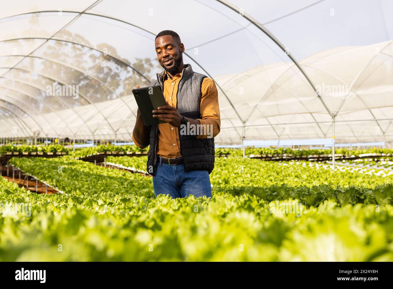 Jeune agriculteur afro-américain tenant une tablette parmi les plantes vertes dans une serre Banque D'Images
