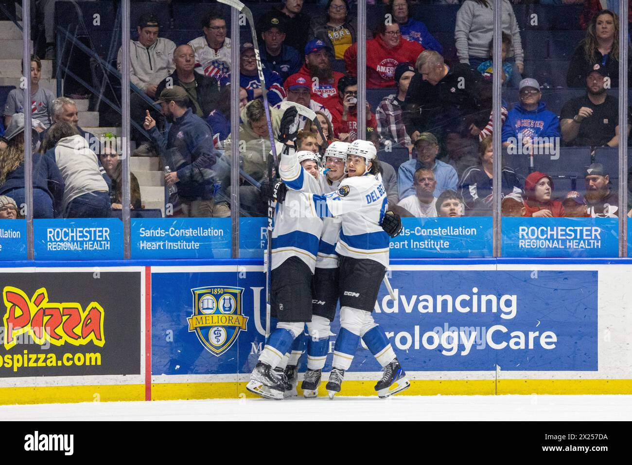 19 avril 2024 : les joueurs de Cleveland Monsters célèbrent un but en prolongation contre les Américains de Rochester. Les Américains de Rochester ont accueilli les Monsters de Cleveland dans un match de la Ligue américaine de hockey au Blue Cross Arena de Rochester, New York. (Jonathan Tenca/CSM) Banque D'Images