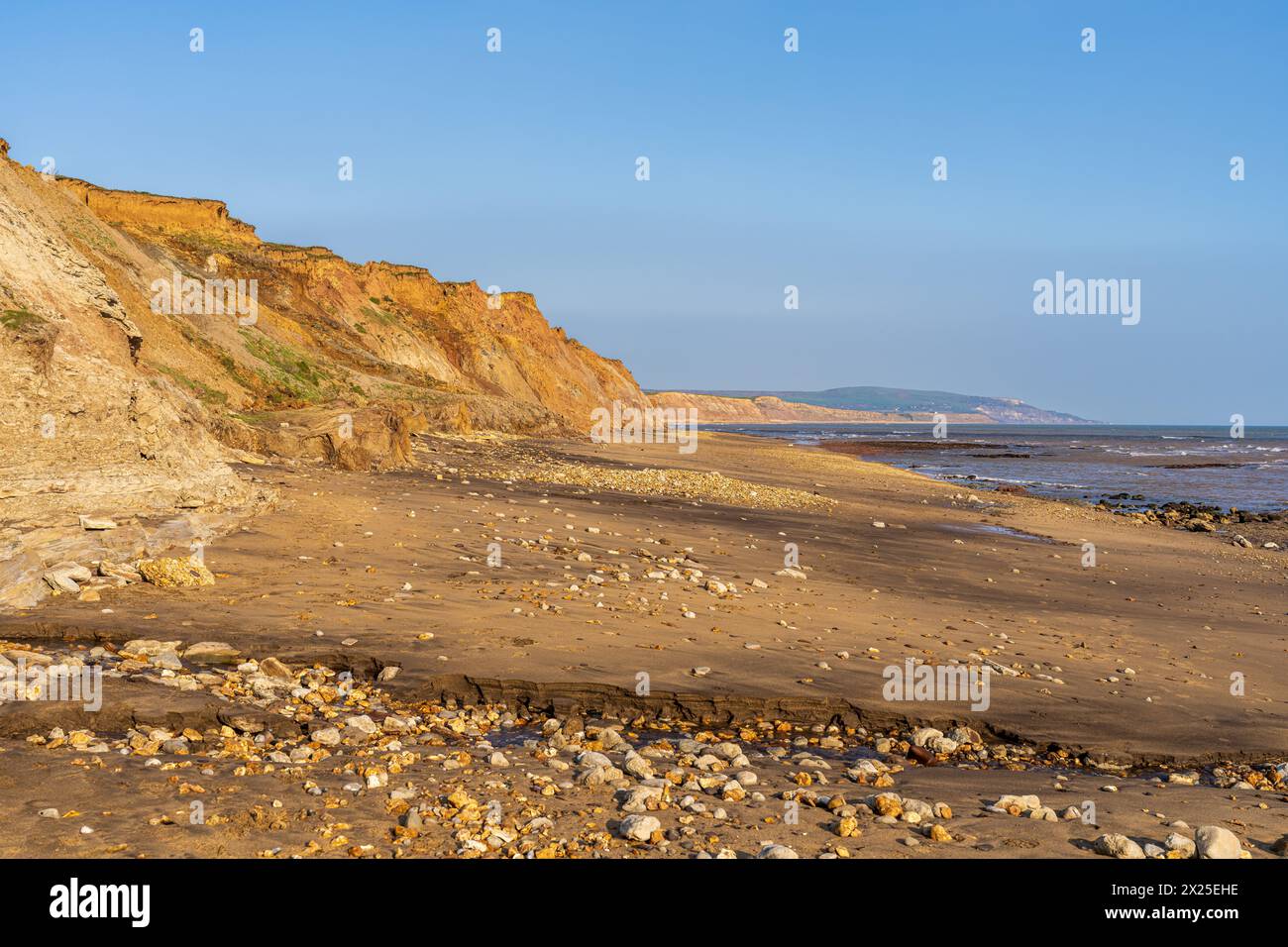 La côte de la Manche près de Brighstone Bay sur l'île de Wight, Angleterre, Royaume-Uni Banque D'Images