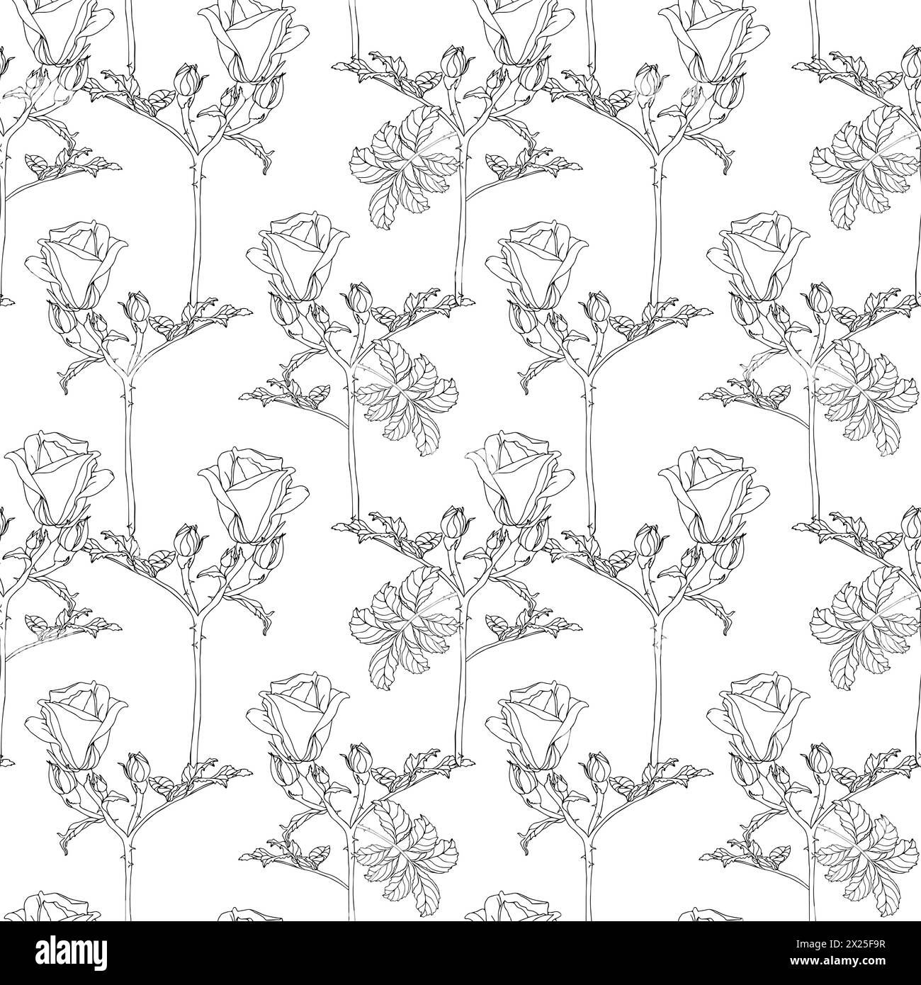 Les petites roses fleurissent avec des feuilles. Ligne d'art à l'encre noire éléments de branche dessinés à la main motif sans couture pour textile, verdure florale pour la conception de surface de Illustration de Vecteur
