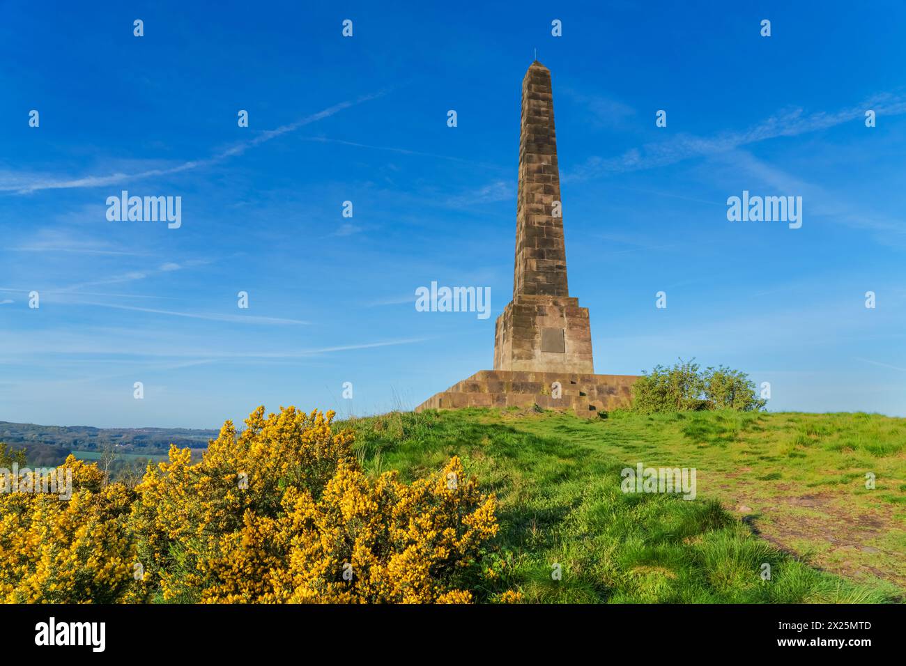 Sutherland Monument à Lilleshall, Shropshire, obélisque commémoratif britannique avec Gorse jaune sauvage au premier plan Banque D'Images