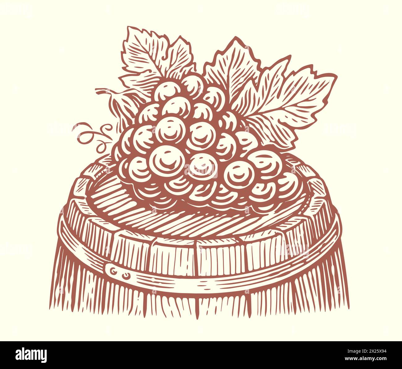 Grappe de raisins avec des feuilles sur tonneau en bois. Vin, esquisse vinicole illustration vectorielle vintage Illustration de Vecteur