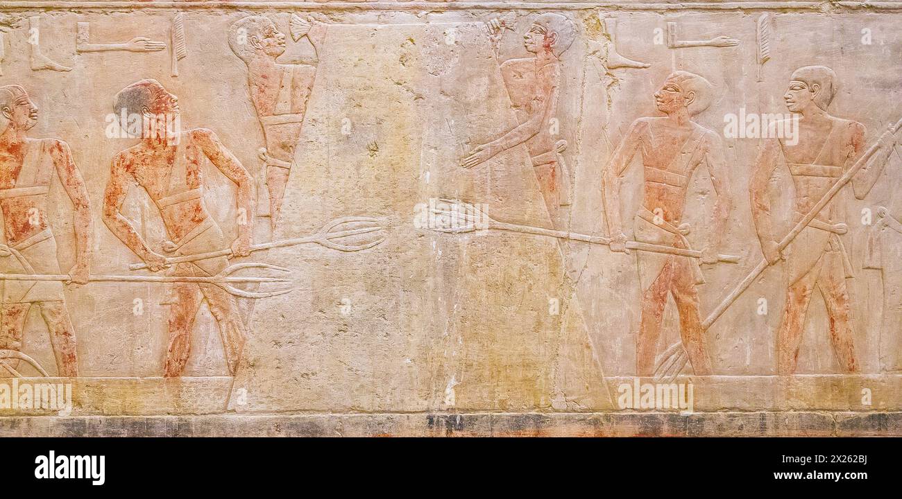 Egypte, Saqqara, tombe de Ty, construisant une pile de paille et liant le dessus de celui-ci avec du papyrus. Banque D'Images