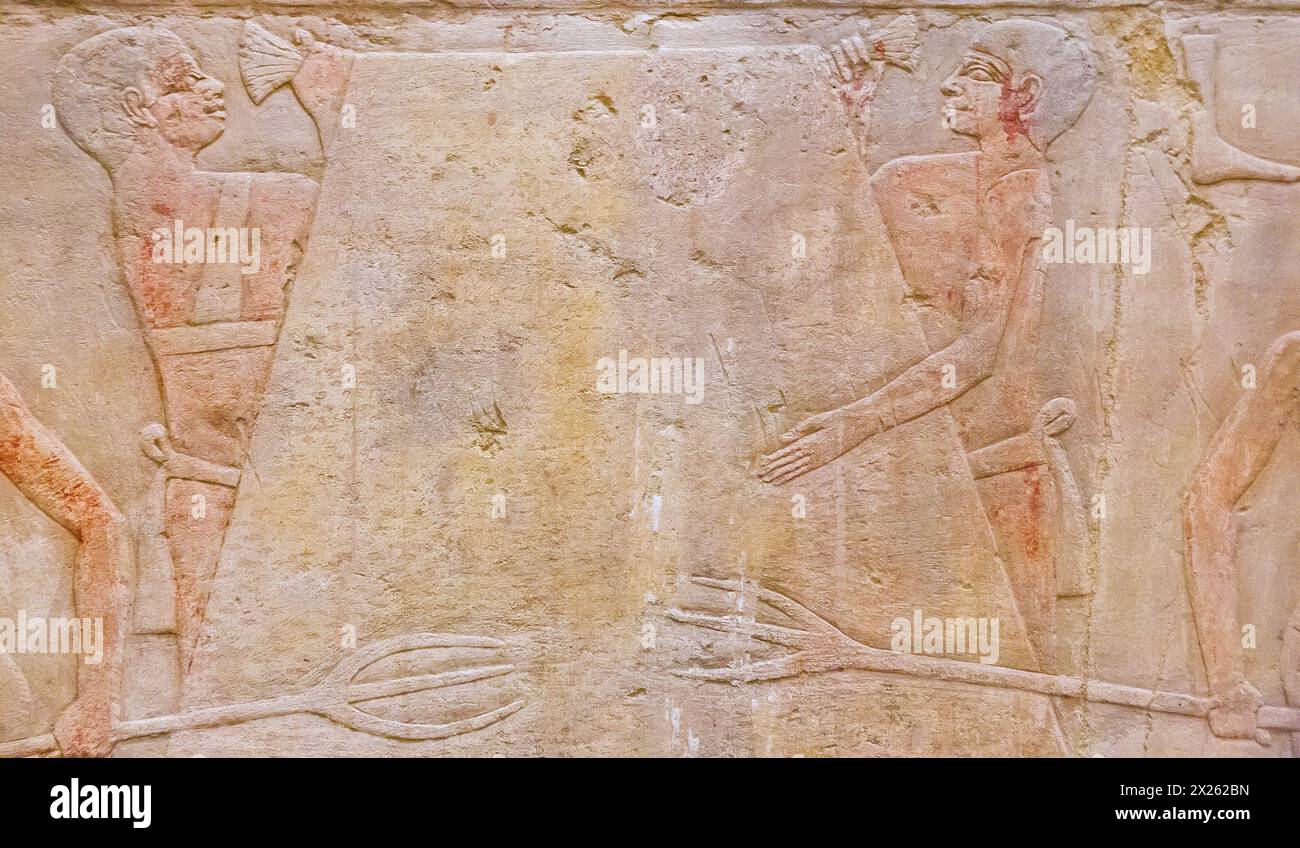 Egypte, Saqqara, tombe de Ty, construisant une pile de paille et liant le dessus de celui-ci avec du papyrus. Banque D'Images
