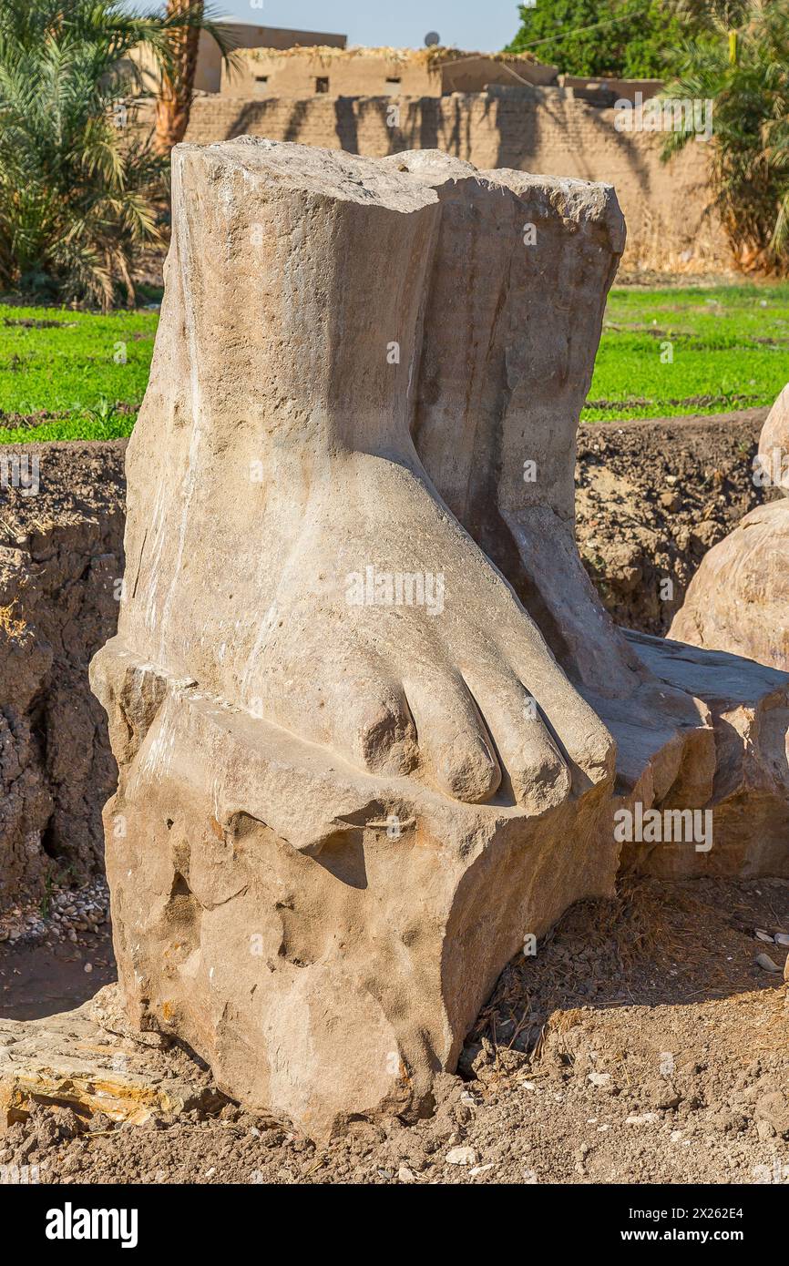 Égypte, Louxor rive ouest, Kom el Hettan, temple d'Amenhotep 3 : redécouverte de 2 colosses à la porte nord (photo 2012). Banque D'Images