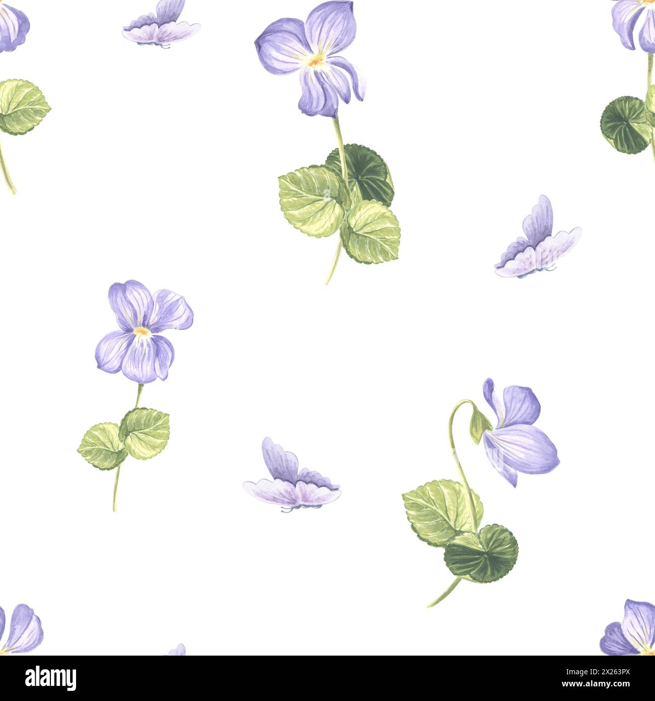 Fleurs Violet modèle sans couture. Couverture de jardin aquarelle. Illustration dessinée à la main de la floraison printanière. Prairie plante sauvage Viola. Templa de dessin botanique Banque D'Images