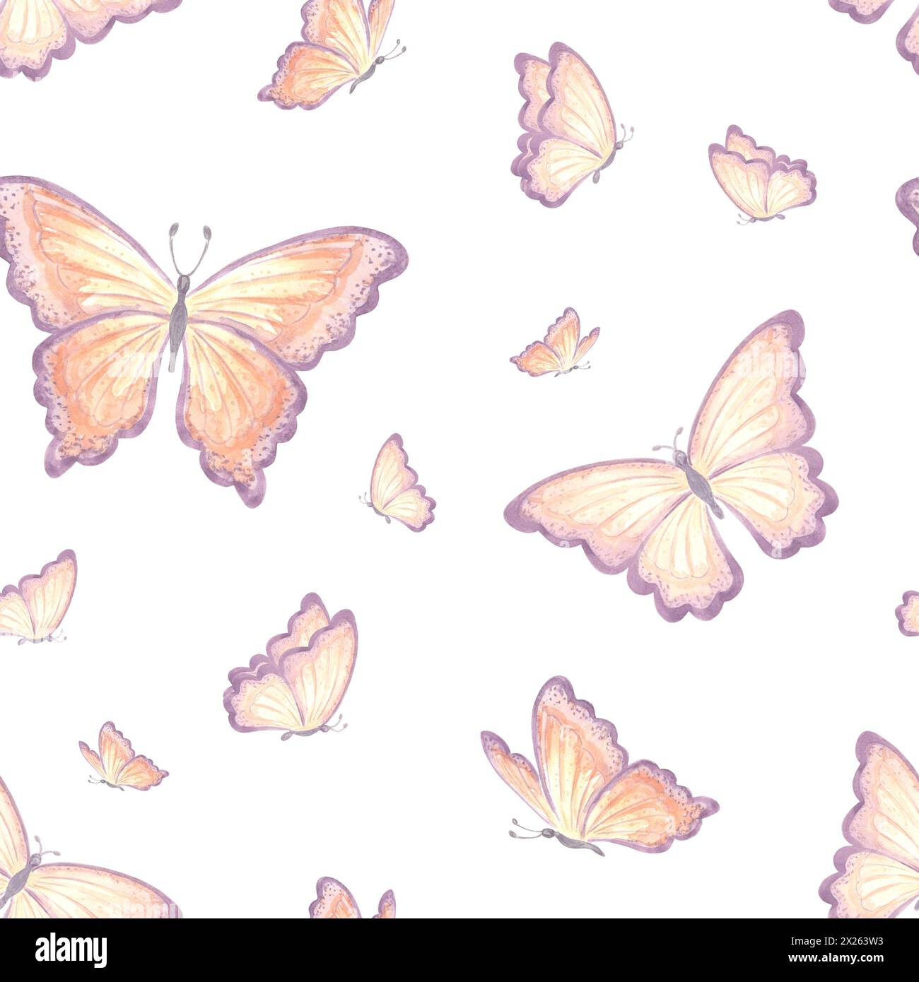 Papillons délicat motif sans couture. Insecte volant aquarelle. Printemps été illustration dessinée à la main. Animaux sauvages tropicaux. Dessin sans fin templat Banque D'Images