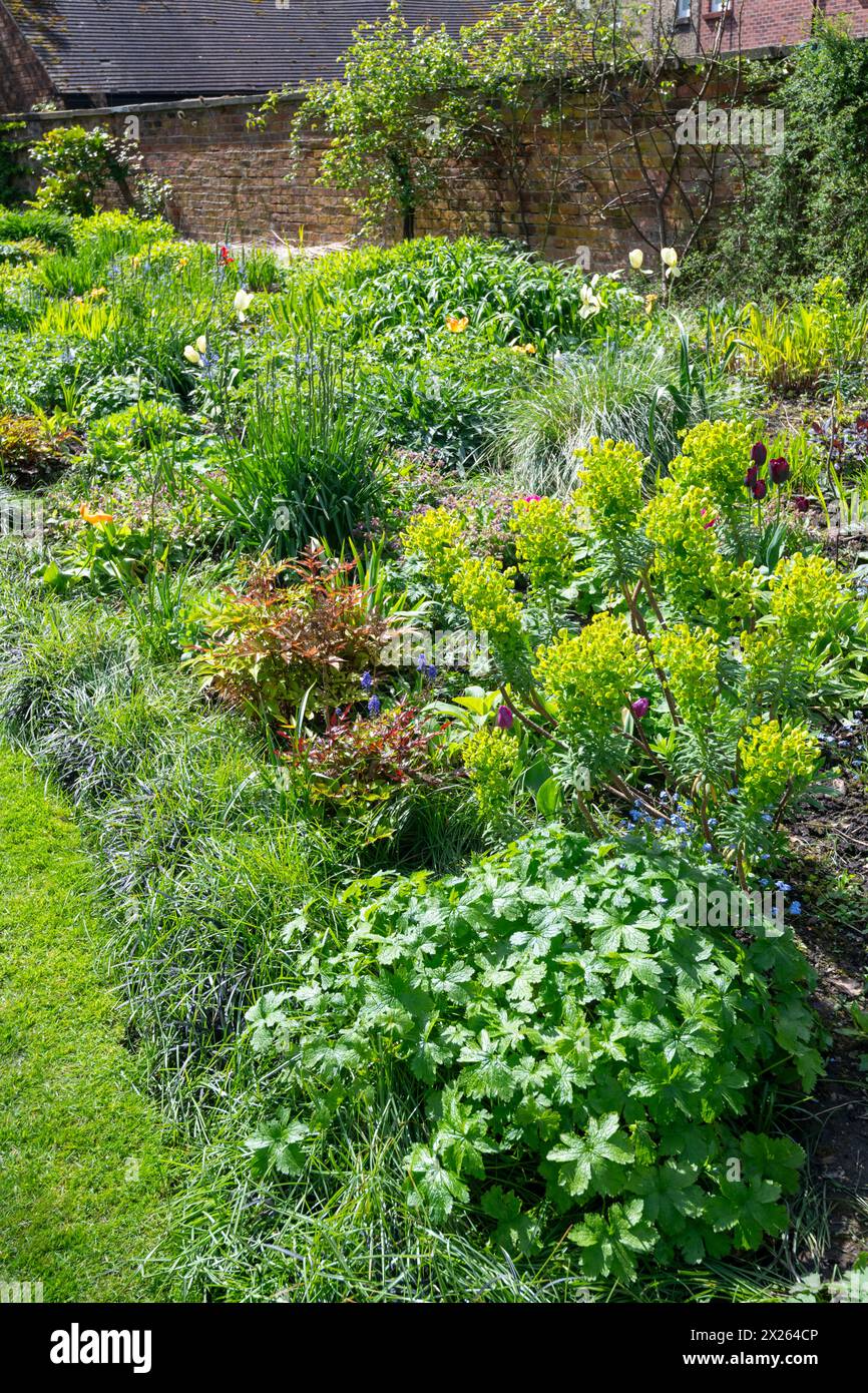 Bordures herbacées dans le jardin Parsonage au jardin botanique Fletcher Moss à Didsbury dans le sud de Manchester. Banque D'Images
