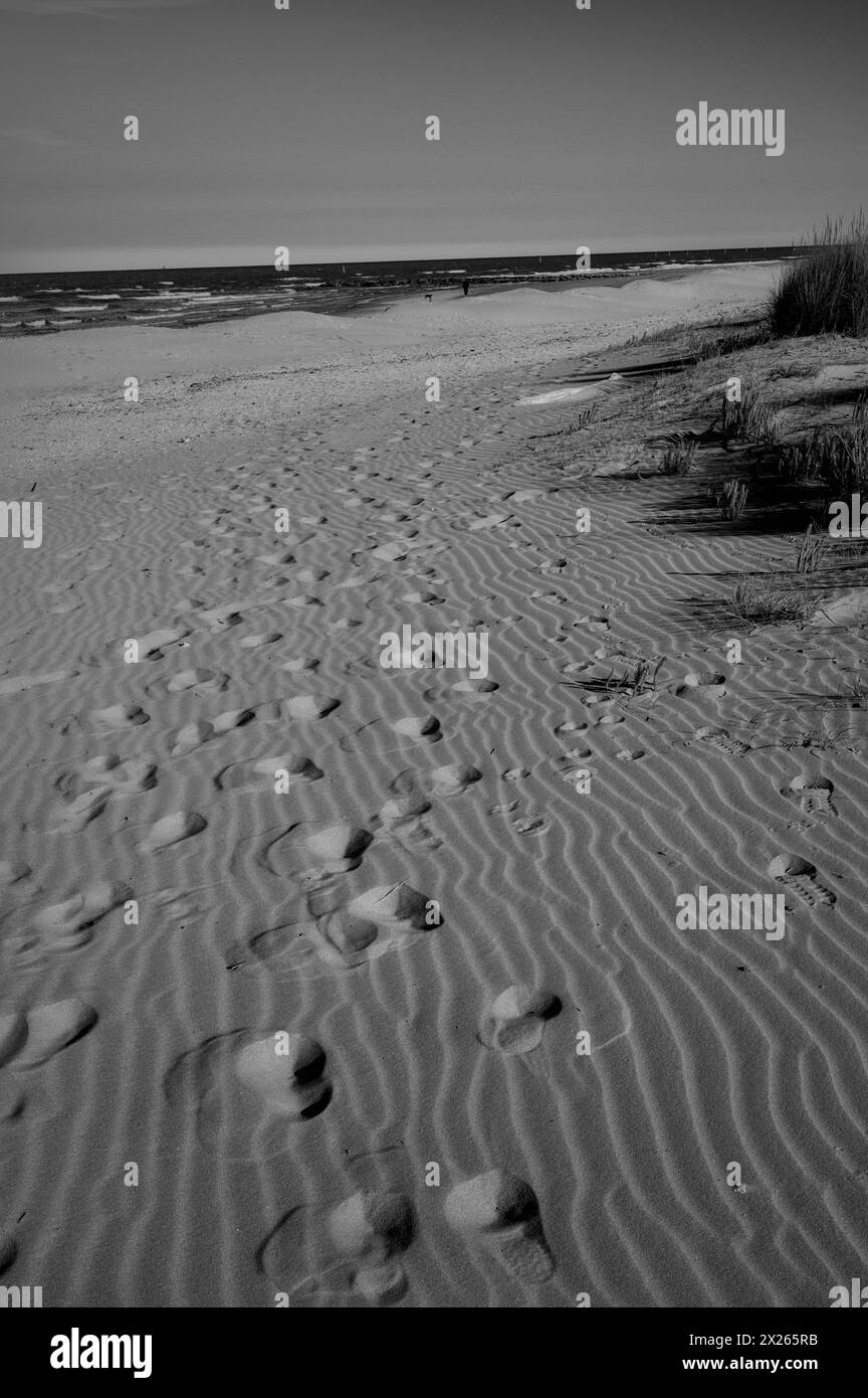 Une symphonie d’empreintes orne le sable, chacune empreinte un témoignage silencieux de voyages inconnus Banque D'Images