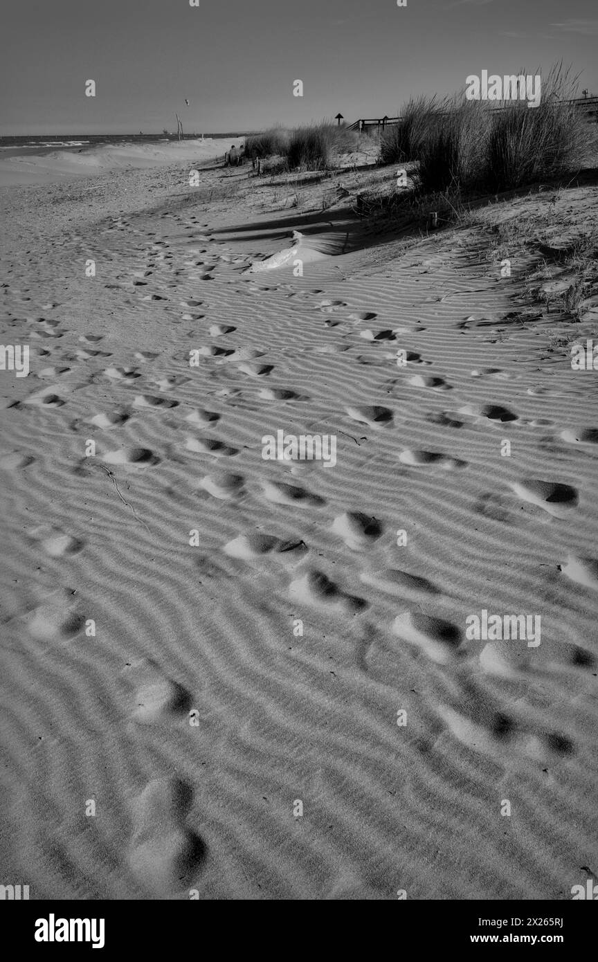 Une symphonie d’empreintes orne le sable, chacune empreinte un témoignage silencieux de voyages inconnus Banque D'Images