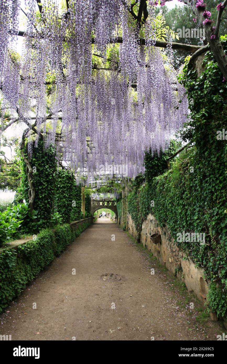 Ravello, Campanie, Italie - 4 mai 2011 : Wisteria Garden de Villa Cimbrone Ravello Côte amalfitaine Italie Banque D'Images